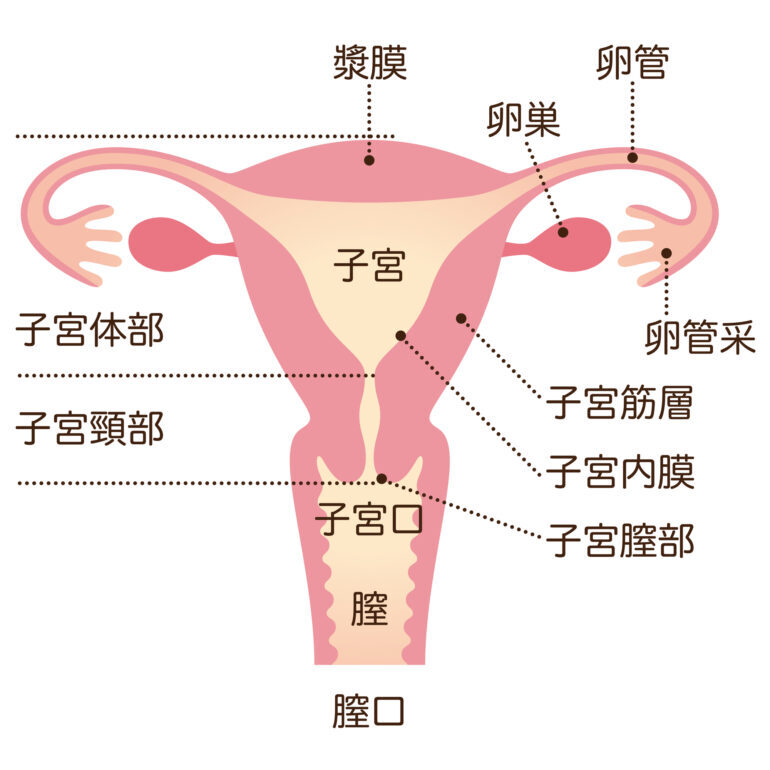 慢性子宮内膜炎